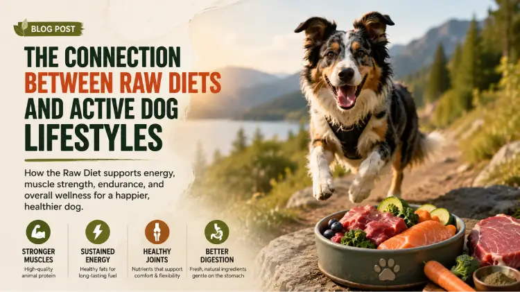 The Connection Between Raw Diets and Active Dog Lifestyles
